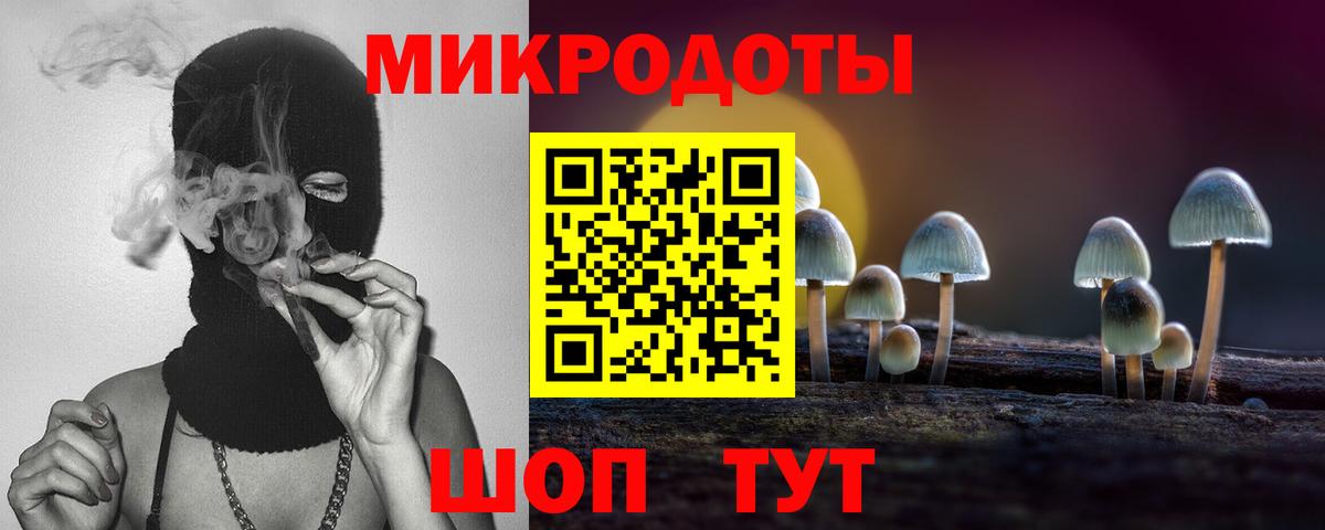 Псилоцибиновые грибы Psilocybe Рассказово